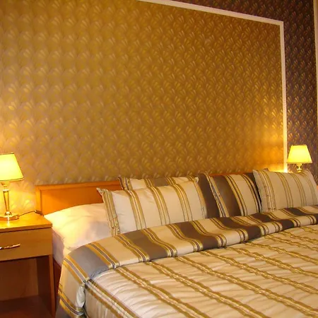 Saint Petersburg Hotell Karlovy Vary