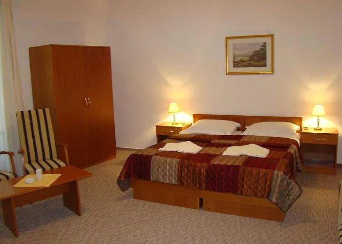 Hotel Saint Petersburg Karlsbad